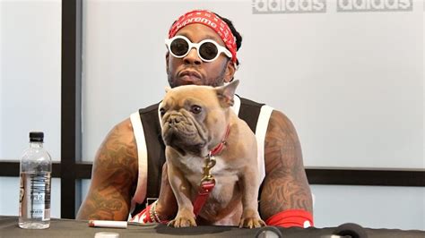 trappy goyard breed|2 Chainz Reveals His Superstar Dog Trappy Has Passed Away.